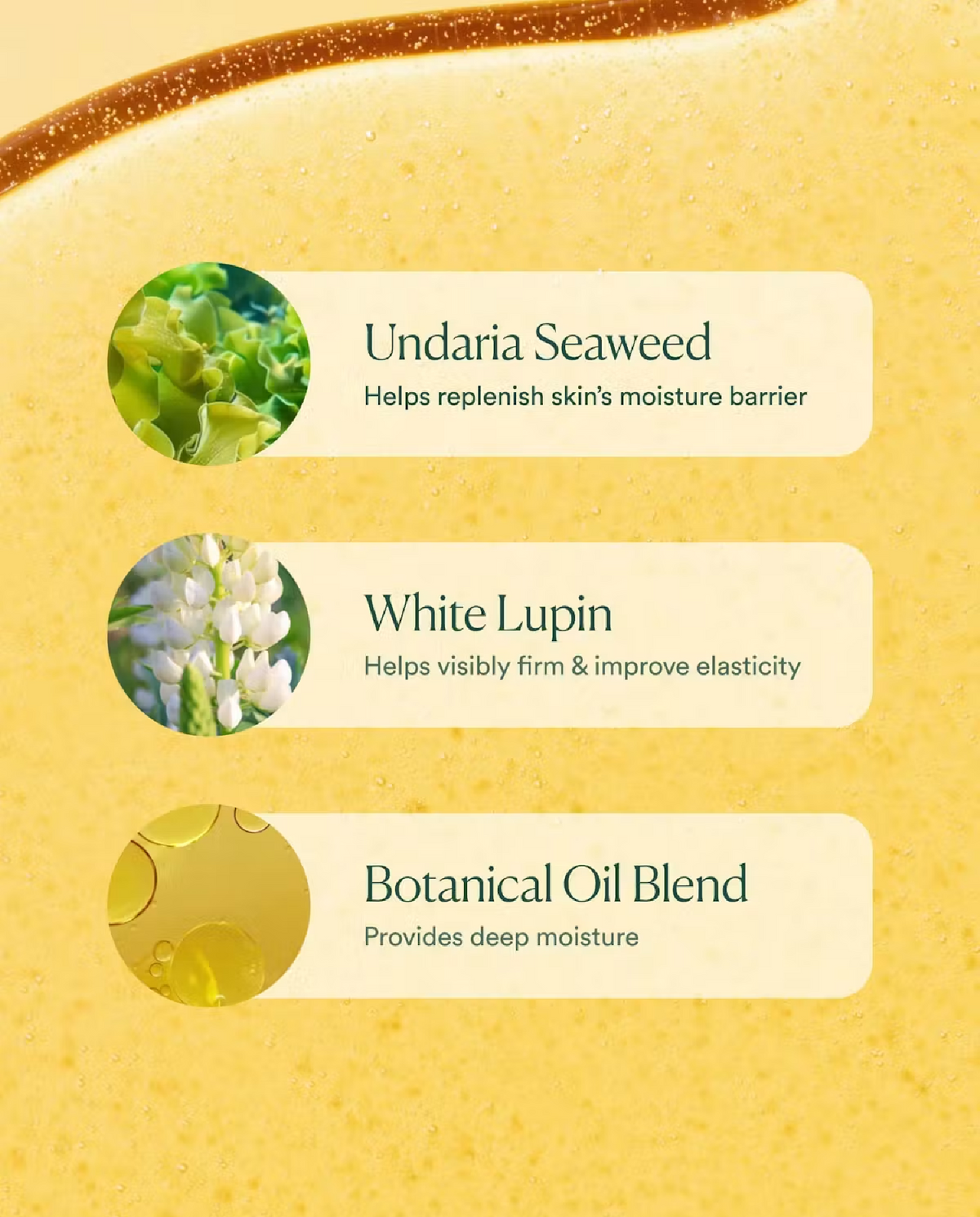 OSEA Osea Undaria Algae Body Oil, alternate view