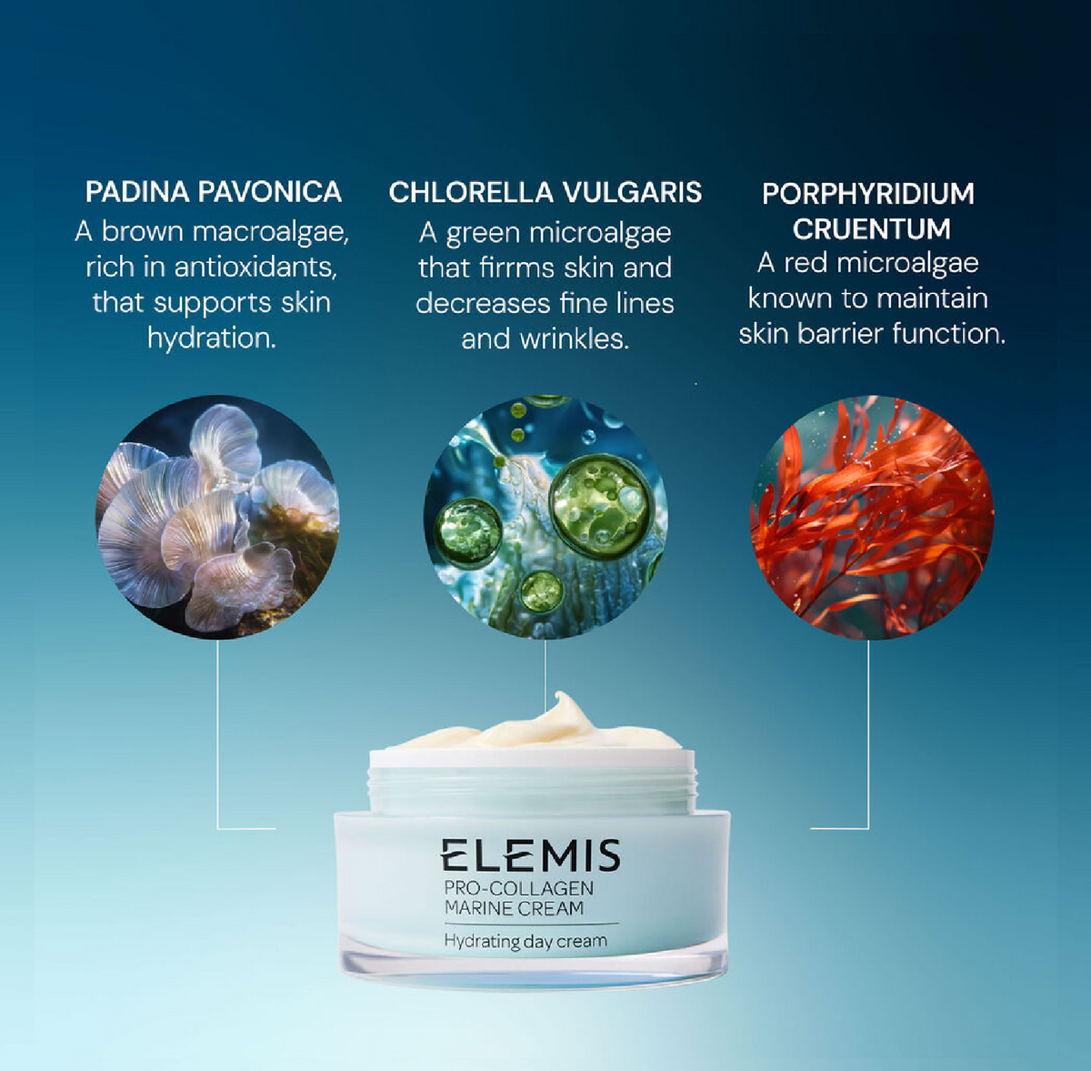 ELEMIS Pro-Collagen Marine Cream, alternate view