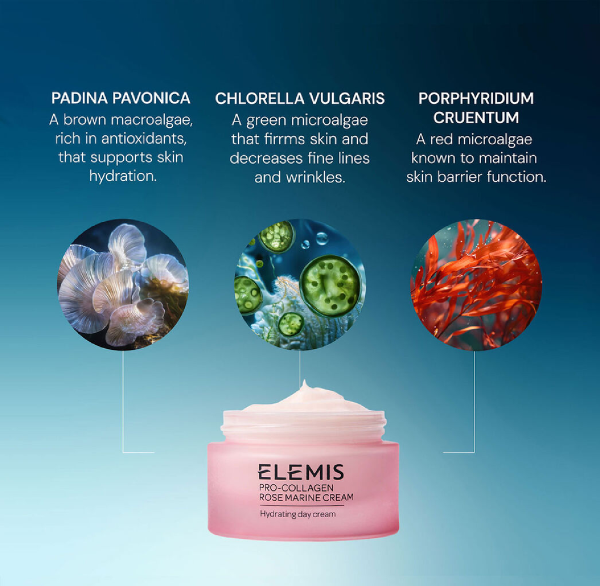 ELEMIS Pro-Collagen Rose Marine Cream, 50 mL, alternate view