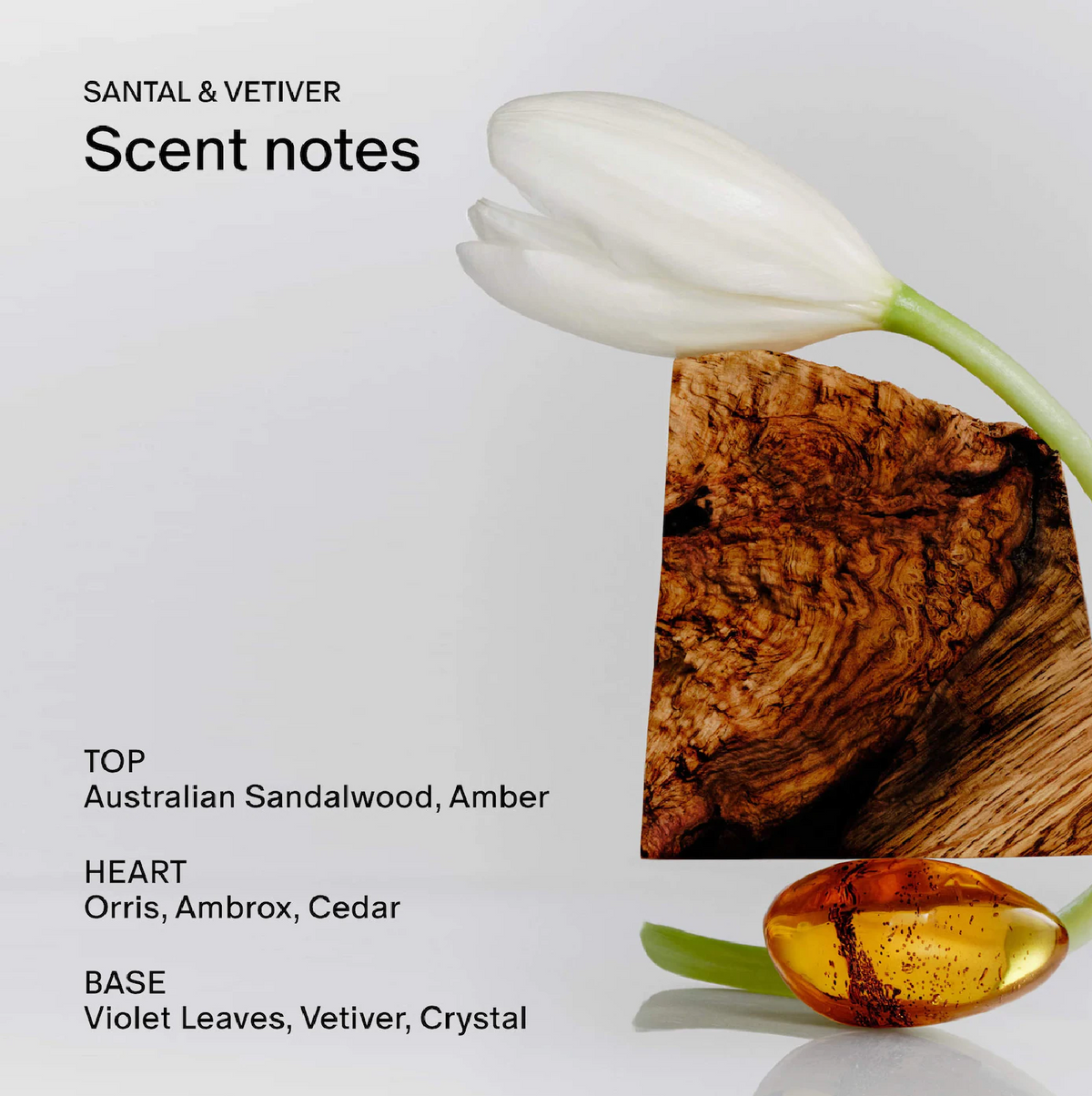 Salt & Stone Santal & Vetiver Body and Hair Fragrance Mist, image 3 of 5