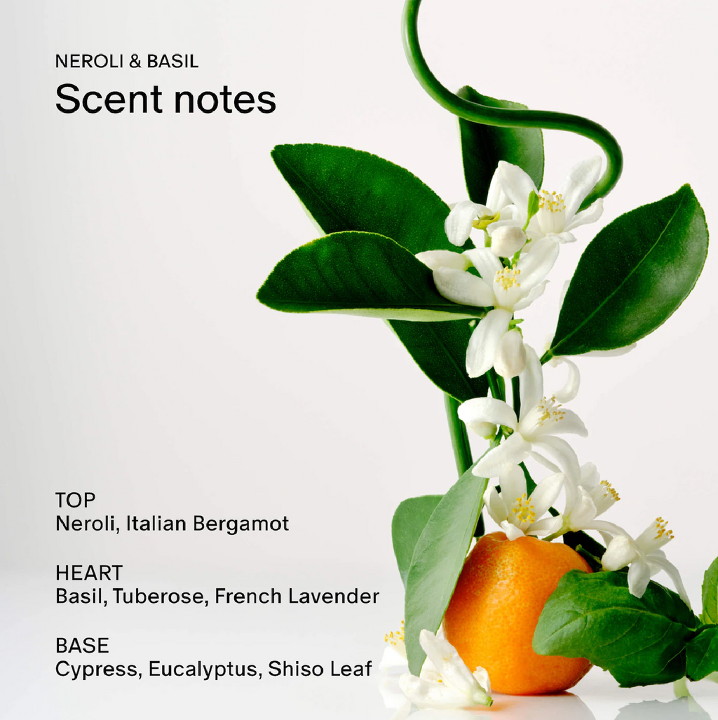 Salt & Stone Neroli & Basil Deodorant – 2.6 oz / 75 g, image 4 of 4