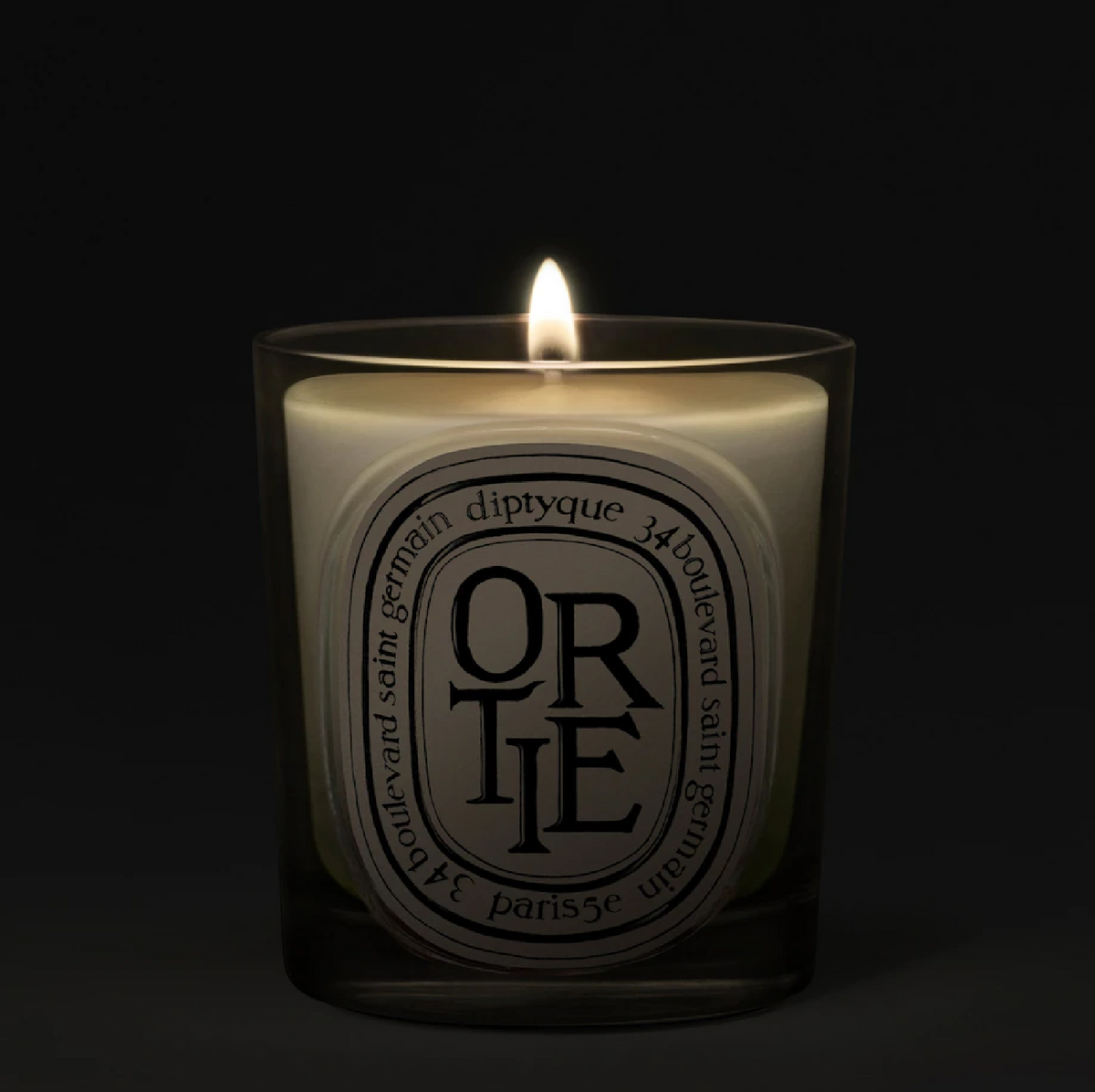 Diptyque Ortie (Nettle) Classic Candle (190g), image 2 of 3