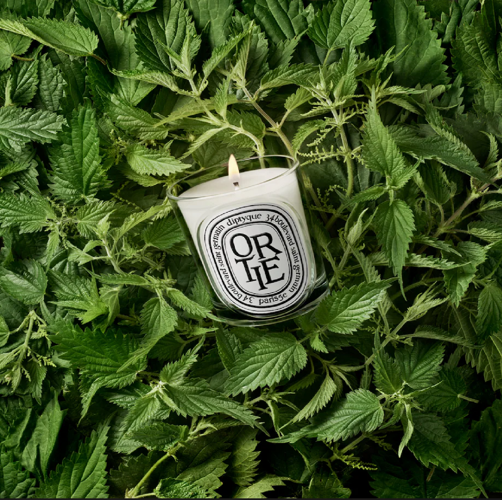 Diptyque Ortie (Nettle) Classic Candle (190g), image 3 of 3