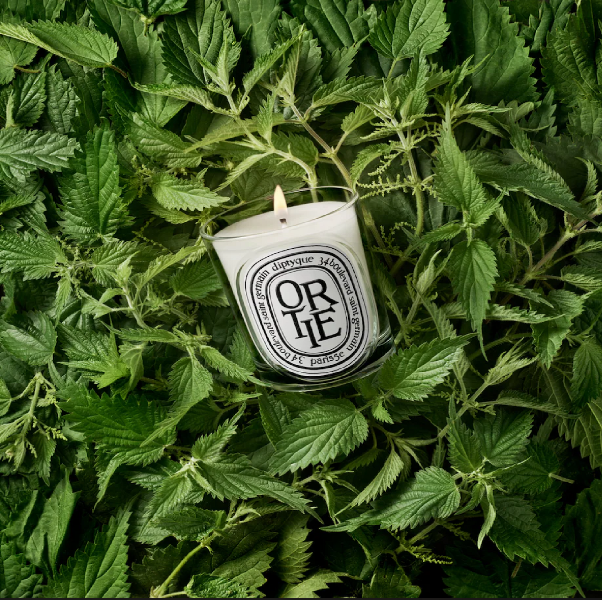 Diptyque Ortie (Nettle) Classic Candle (190g), image 3 of 3