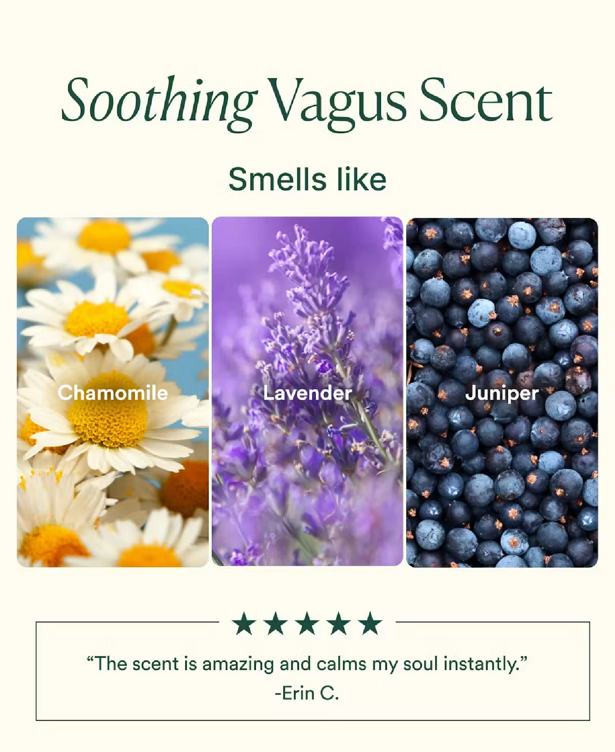 OSEA Osea Vagus Nerve Pillow Mist, alternate view